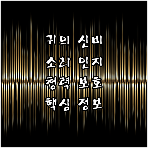 귀의 신비: 소리 인지 과정과 청력 보호의 모든 것