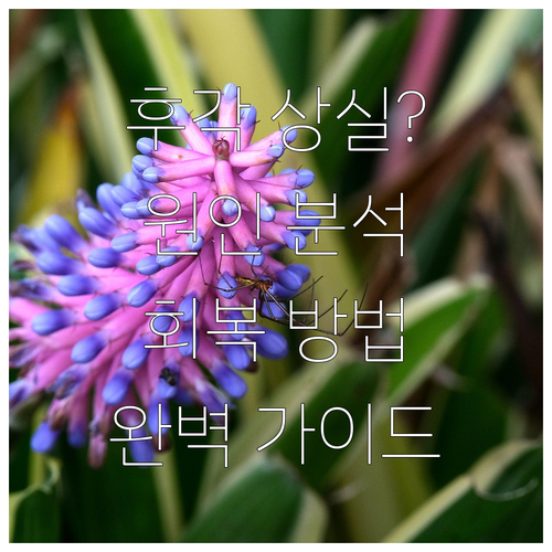 코로나 후유증? 후각 상실 원인과 회복 방법 완벽 가이드