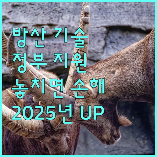 2025년 방산 기술력 UP 정부 지원 사업 놓치면 손해