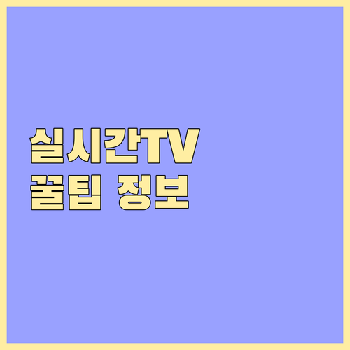 실시간 TV 앱 필수 정보: 종류, 다운로드, 시청 시 유의사항