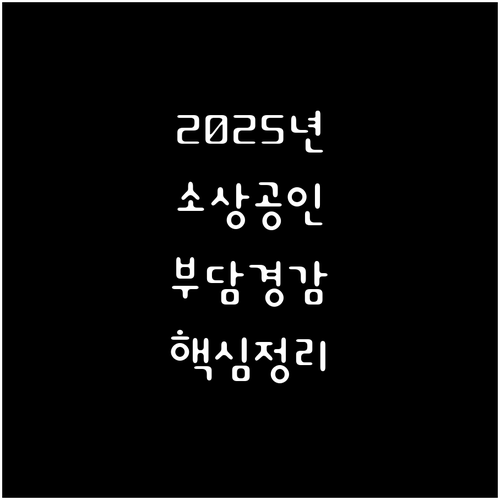 정책 활용법: 2025 소상공인 부담경감 크레딧 완벽 분석