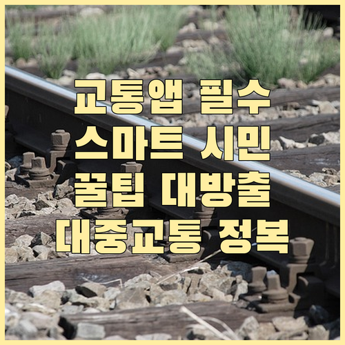 대중교통 앱, 이것만 알면 당신도 스마트 시민
