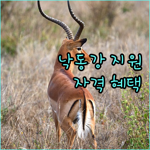 2025 낙동강 주민지원 프로젝트 상세 안내 자격 조건, 혜택, 신청 절차