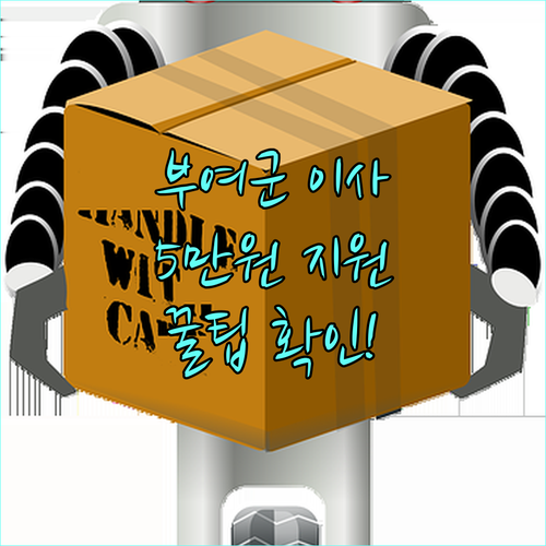 2025 부여군 전입 시 꼭 알아야 할 5만원 지원금 정보