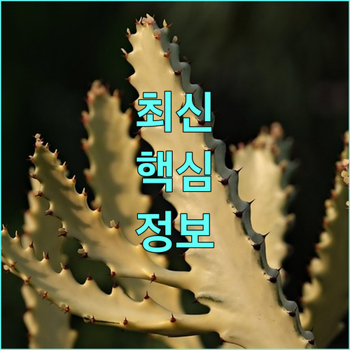 2025 강서구 EM 발효액 무료 배부 총정리 악취 해결 및 신청 방법