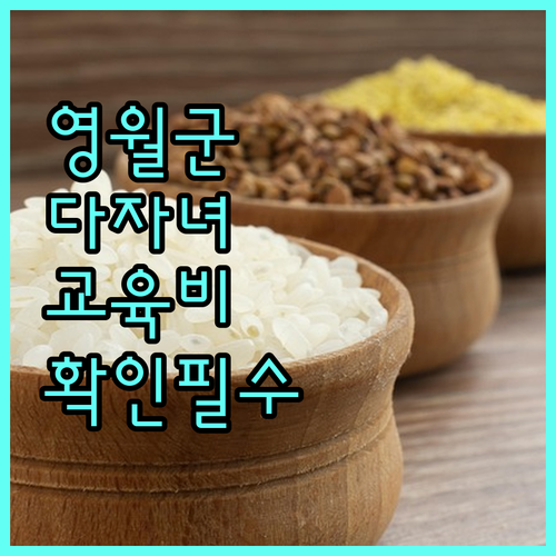2025 영월군 다자녀 교육비 지원: 신청 자격부터 혜택까지 완벽 정리