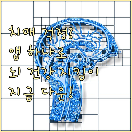 치매안심센터 앱: 지금 바로 다운로드하고 뇌 건강 관리 시작!