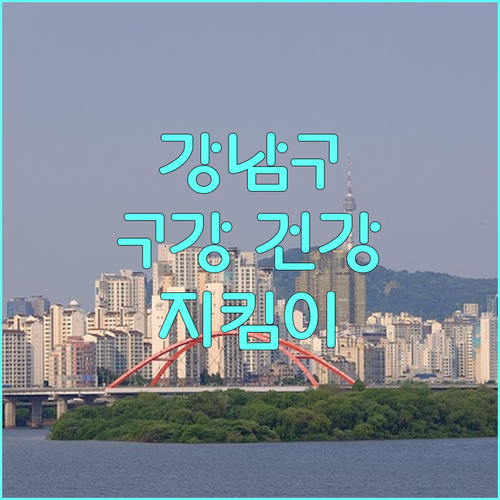 2025년 강남구 구강 건강 지킴이 서비스 활용법