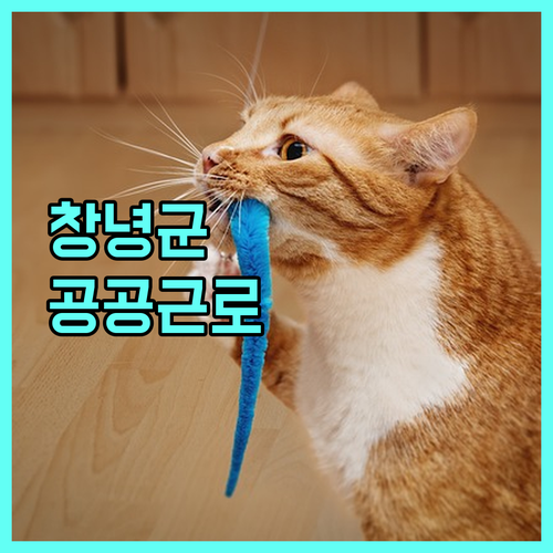 2025 창녕군 공공근로 일자리 사업 완벽 분석: 지원 조건, 혜택, 신청 방법