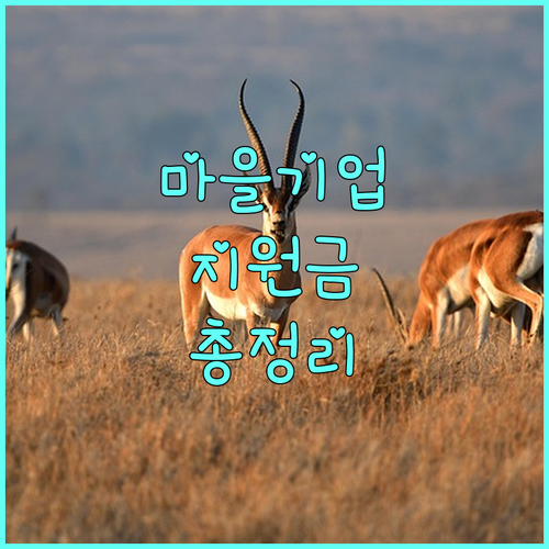 지역 경제 활성화 2025 마을기업 육성 사업 지원금 총정리