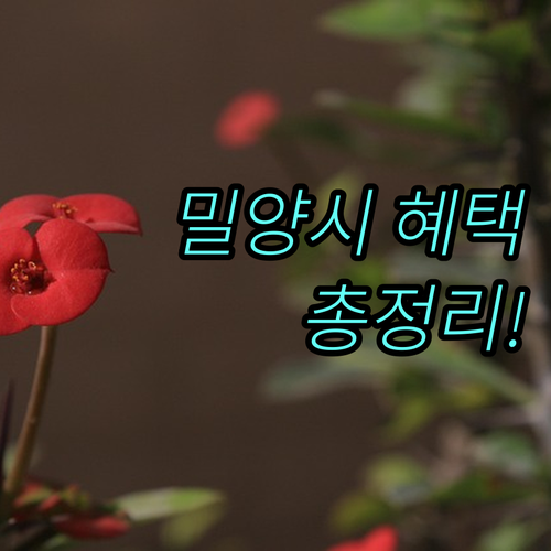 밀양시 2025 모자보건 사업 임신, 출산 지원 혜택 완벽 분석