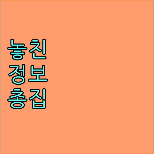 2025년 삼척시 미취업 청년 자격증 응시료 지원 놓치면 손해