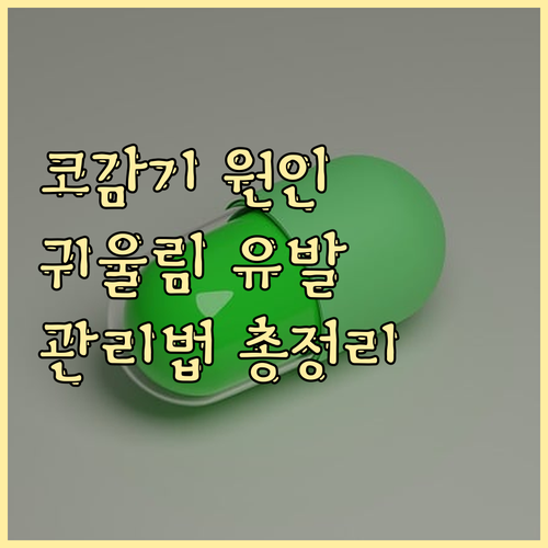 코감기, 귀울림 유발 원인과 관리법 총정리