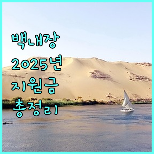 2025 담양군 백내장 수술 지원 사업: 지원 조건, 내용, 신청 절차 완벽 분석