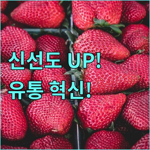 2025 수산물 신선도 UP! 물류환경 개선 사업으로 유통 과정 혁신