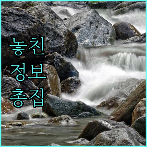 덕곡동 도시가스 A to Z: 고객센터, 요금, 이사 한번에 끝내기