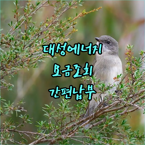 대성에너지 도시가스 요금 조회와 납부 쉬운 방법