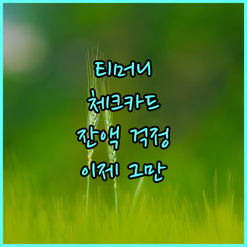 현대카드 티머니 체크카드: 간편한 충전으로 잔액 걱정 끝