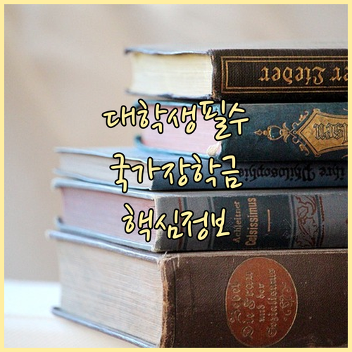대학생 필수! 국가장학금 2유형: 신청부터 수혜까지 핵심 정보