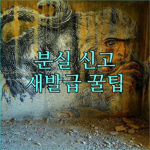현대카드 안심 사용법: 분실 시 신고 및 재발급 절차 완벽 가이드