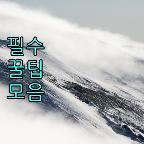 불로동 도시가스, 대성에너지 고객센터 완벽 활용법: 이사, 요금, 안전