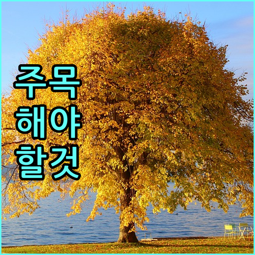 대성에너지 복현동 도시가스 24시간 긴급 및 일반 서비스 안내