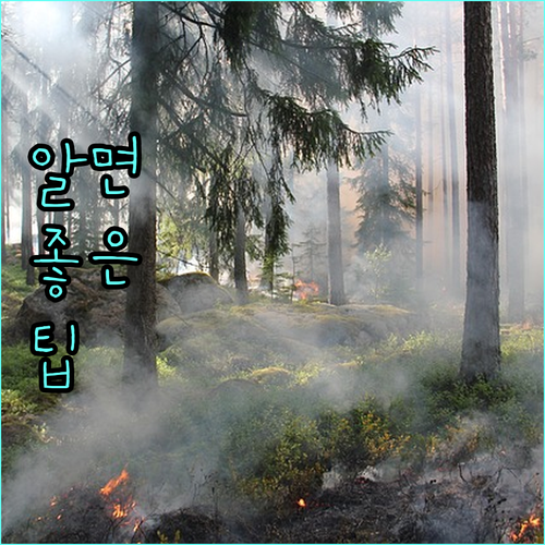 2025 당신의 농장도 농협 소독 지원 받을 수 있을까요