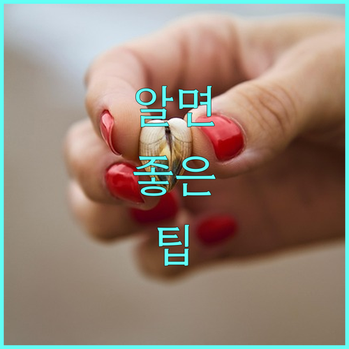 2025년 군산시 학자금 대출 이자 지원: 신청하고 학업에 집중하세요