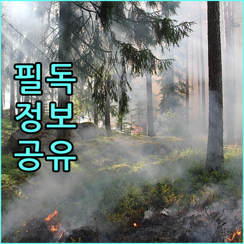 신천동 도시가스 사용 설명서: 이사, 요금, 안전까지 한번에!