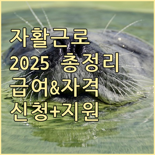 자활근로사업 2025년 총정리: 급여, 자격, 신청, 추가 지원