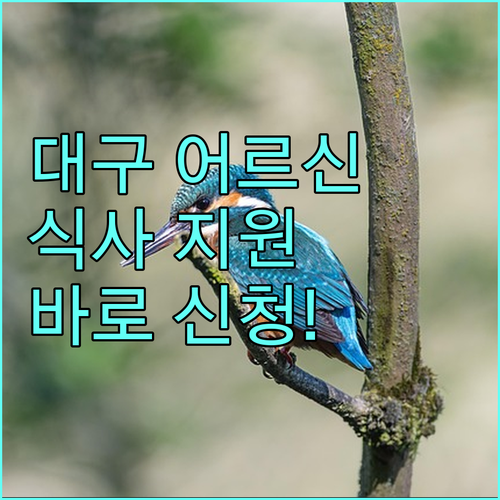 2025 대구 저소득 재가노인 식사 지원: 지금 바로 신청하세요