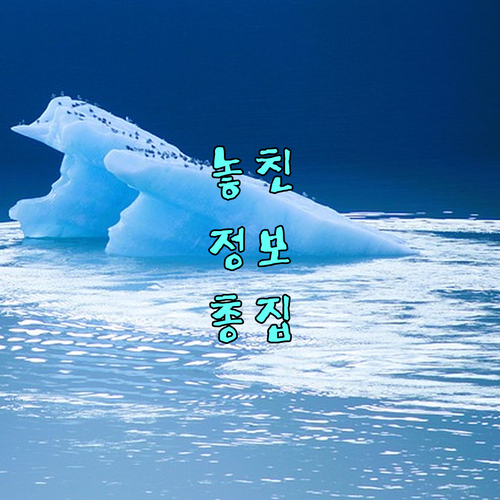 대성에너지 비산동 서비스: 도시가스 사용의 모든 것