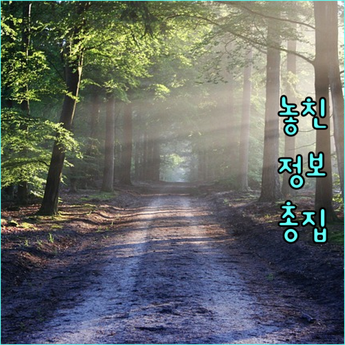 평광동 도시가스 사용법: 이사, 요금, 안전까지 한번에!