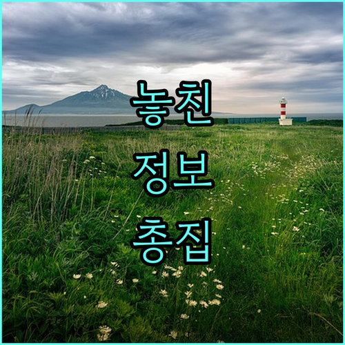 대구 동구 입석동 도시가스, 모든 서비스 한눈에 보기