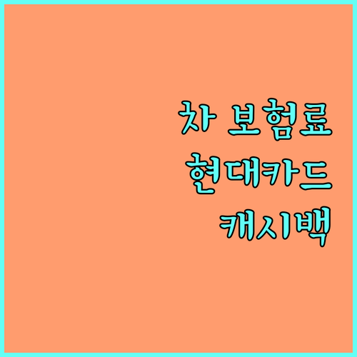자동차 보험료, 현대카드로 결제하고 캐시백 받는 방법