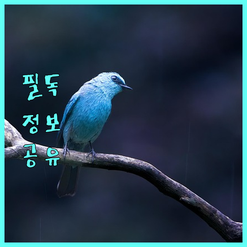 충남/천안 청년 필독! 2025 학자금 대출 이자 지원 사업 총정리