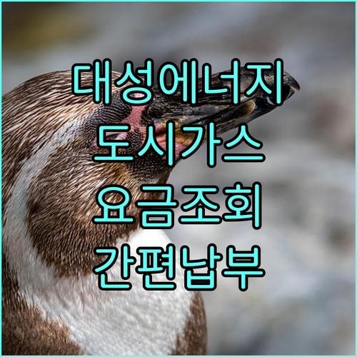 대성에너지 도시가스 요금 조회와 간편 납부 방법
