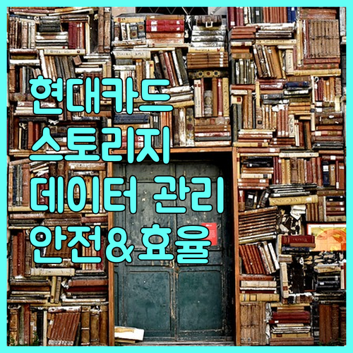 현대카드 스토리지 프로그램: 안전하고 효율적인 데이터 관리