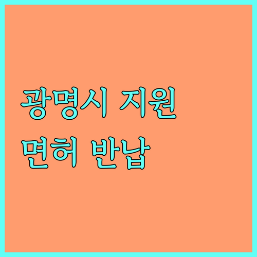 2025 광명시 고령 운전자 운전면허 자진 반납 지원 사업: 상세 안내