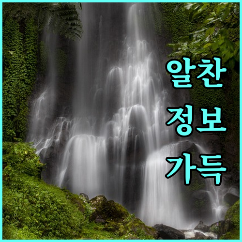 대구 동구 도시가스: 대성에너지 고객센터 FAQ 총정리