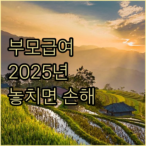 2025 부모급여: 놓치면 손해! 신청 자격부터 지급일까지 완벽 가이드