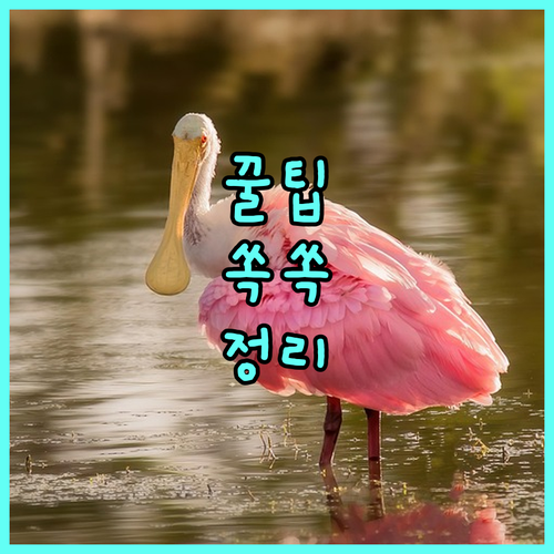 2025 사천시 명절 복지 위문금품 대상부터 지원 형태까지