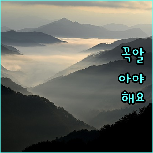 보은군, 학자금 부담 덜어주는 이자 지원 사업 시행 (2025년 하반기)