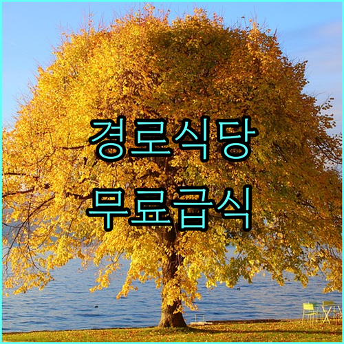 대전 경로식당 무료 급식 2025 신청 자격, 방법, 꿀팁 공개
