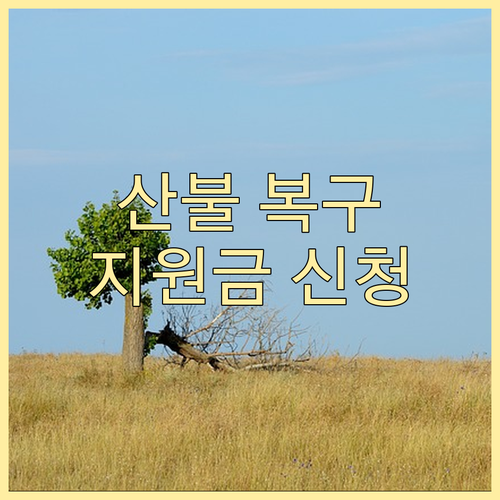 산불 피해 복구, 정부가 돕습니다! 지원금, 지금 바로 신청하세요