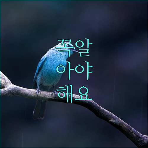 2025 경남 장애인 평생교육이용권 지금 바로 신청