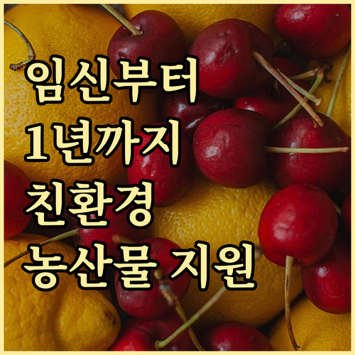 임신, 출산 후 1년까지! 친환경농산물 지원받는 방법