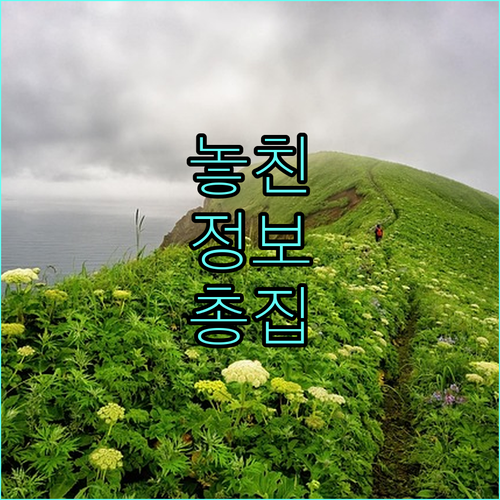대성에너지 고객센터 총정리: 대구 도시가스 연결부터 안전까지