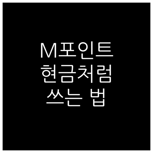 현대카드 M포인트, H-Coin 전환으로 현금처럼 쓰는 비법
