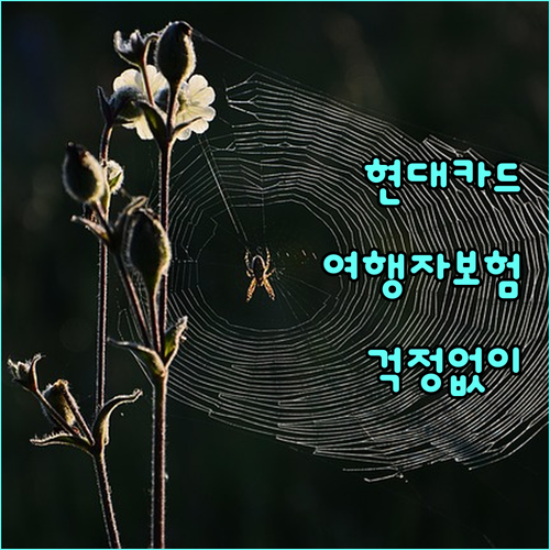현대카드 여행자보험: 예상 못한 사고와 질병, 이제 걱정 없이 떠나세요